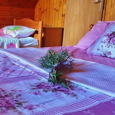Markov Mali Raj Trebinje